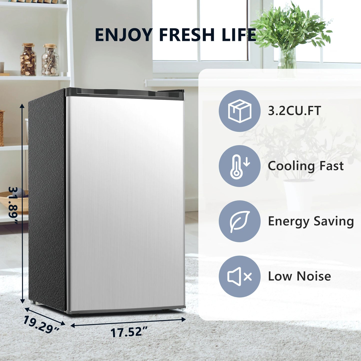 Mini Fridge with Adjustable Thermostat