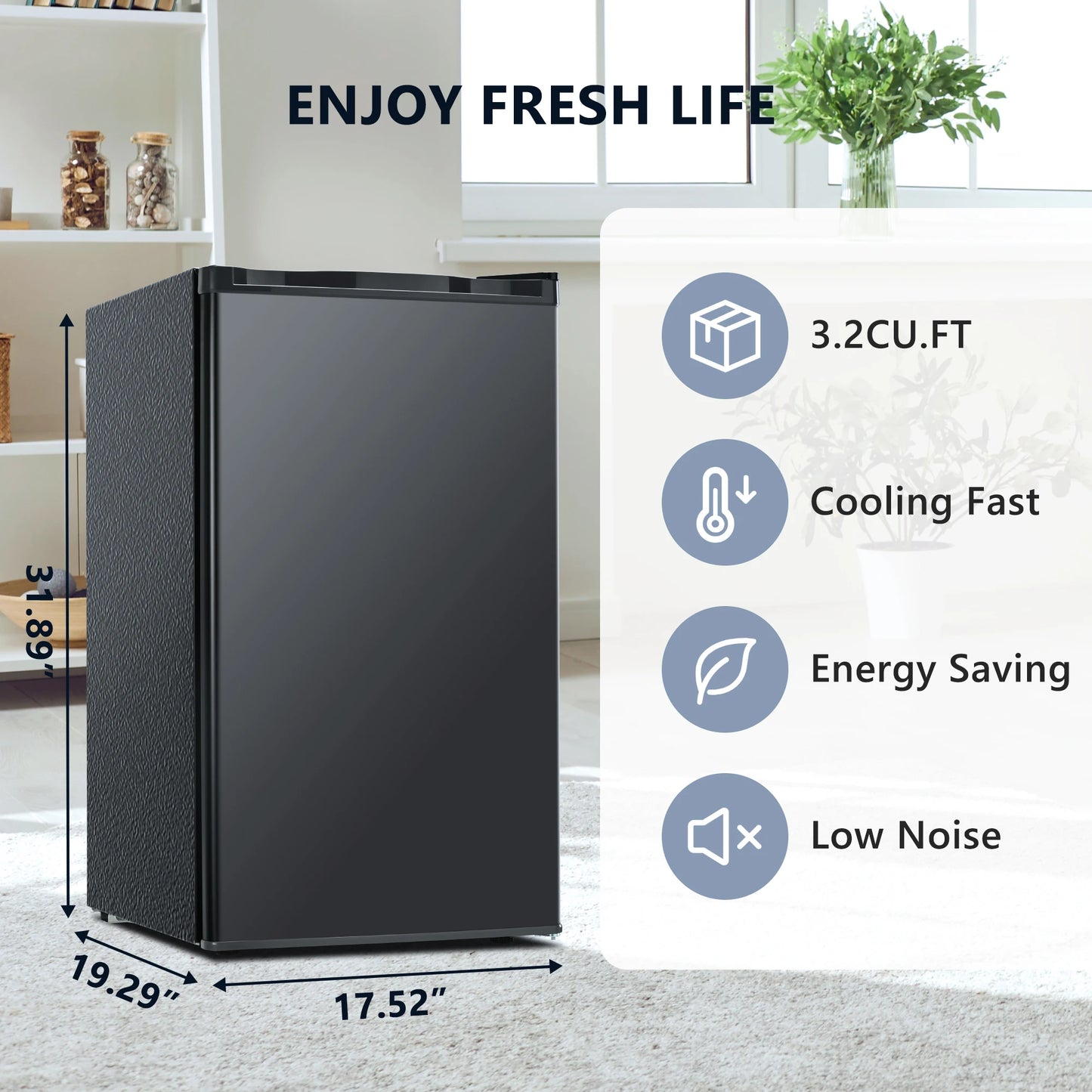 Mini Fridge with Adjustable Thermostat