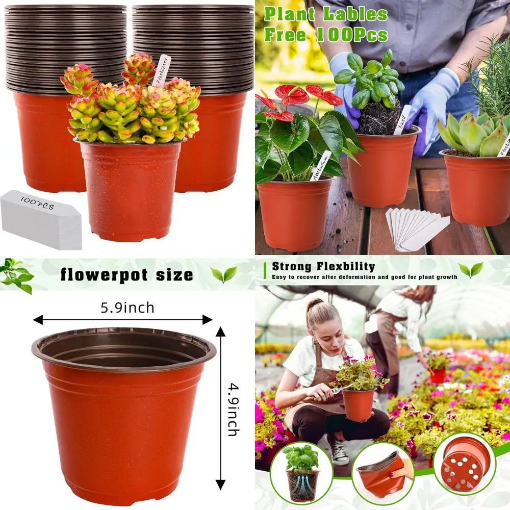 Nursery Pots Seedling Plant Container