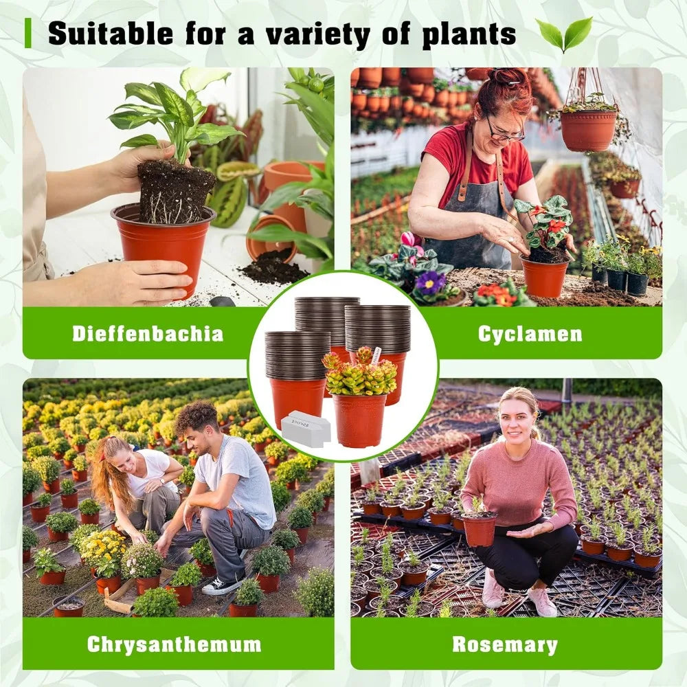 Nursery Pots Seedling Plant Container