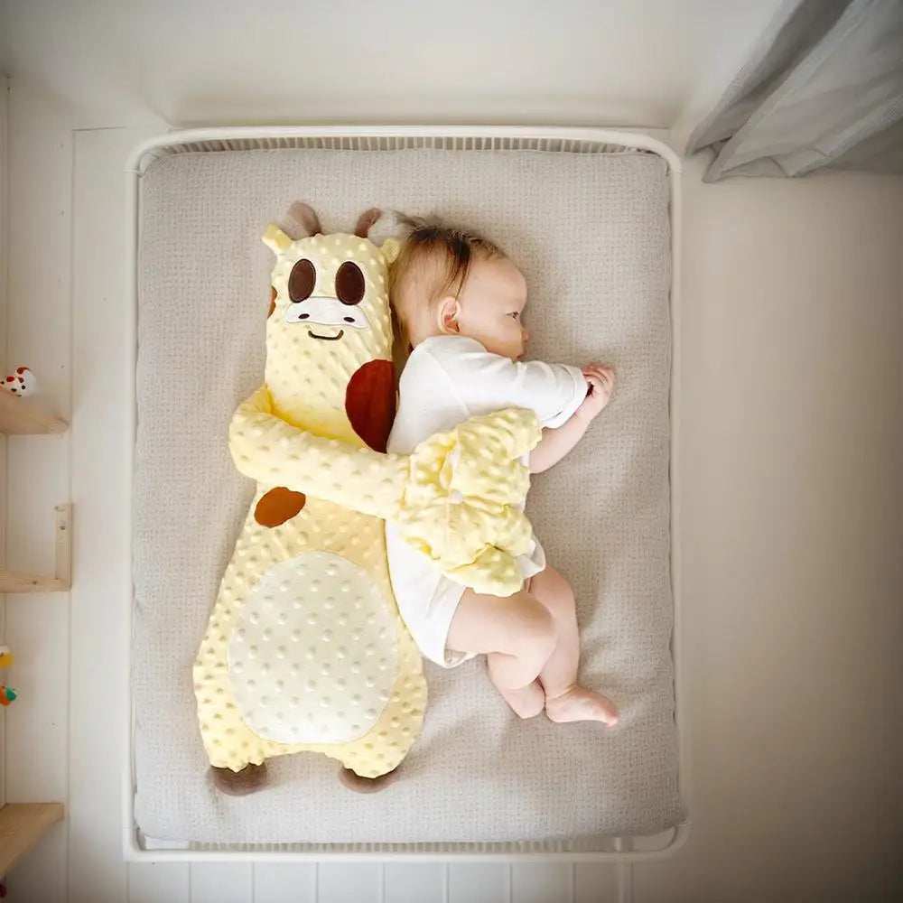 Baby Sleep Aid Companion