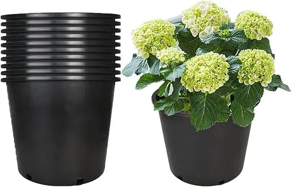 Plant Flower Seedling Container