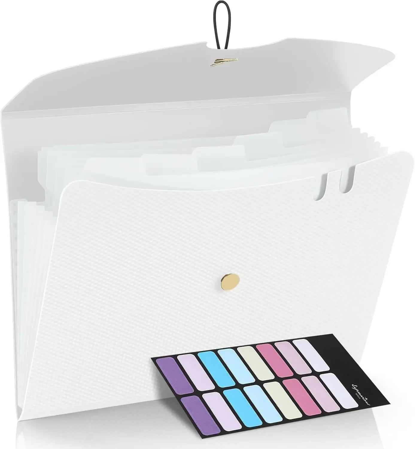 Letter Size Organ Organizer