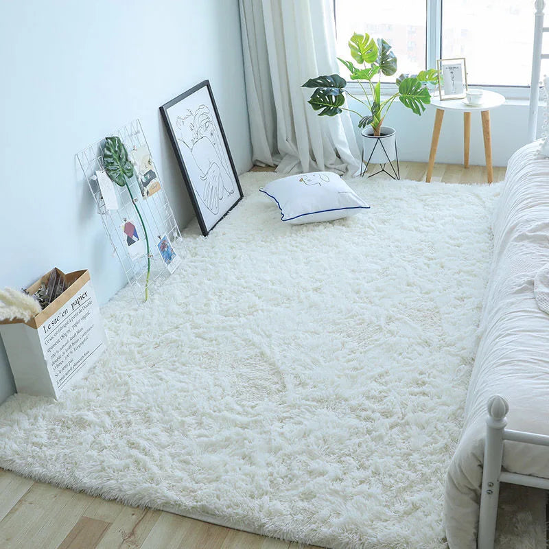 Fluffy Carpet Modern Home Decor Mats Thickened Non-Slip