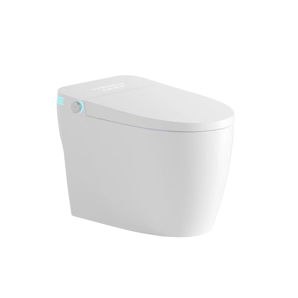 Tankless Smart Toilet With Bidet Built In