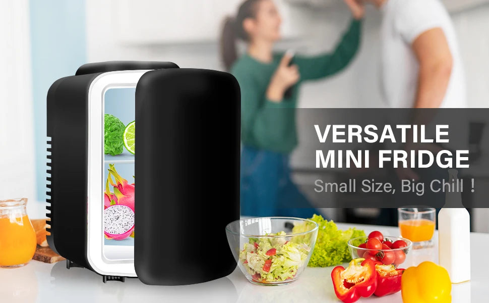 Portable Small Refrigerator Insulated Compact Refrigerator