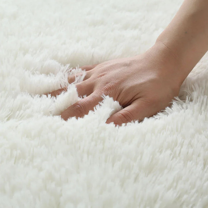Fluffy Carpet Modern Home Decor Mats Thickened Non-Slip
