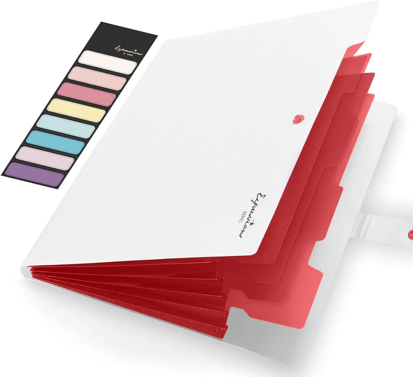 Letter Size Organ Organizer