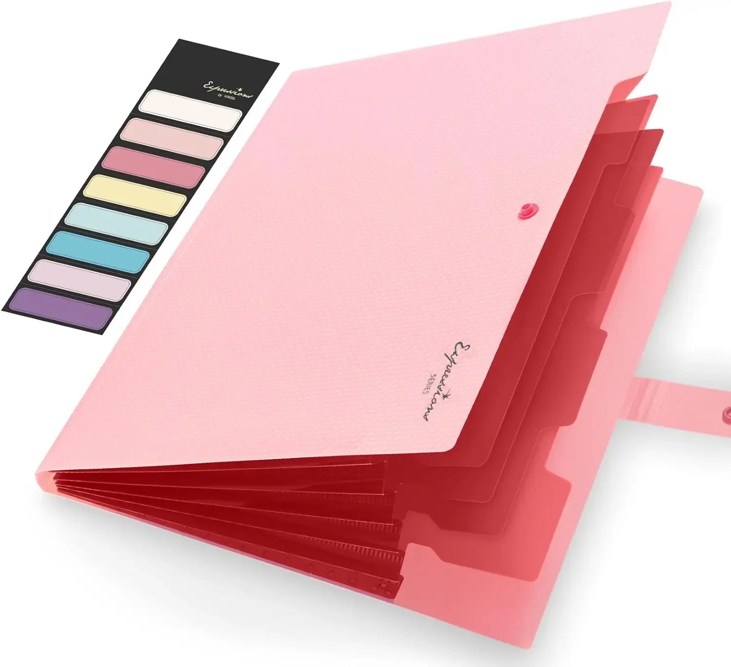 Letter Size Organ Organizer