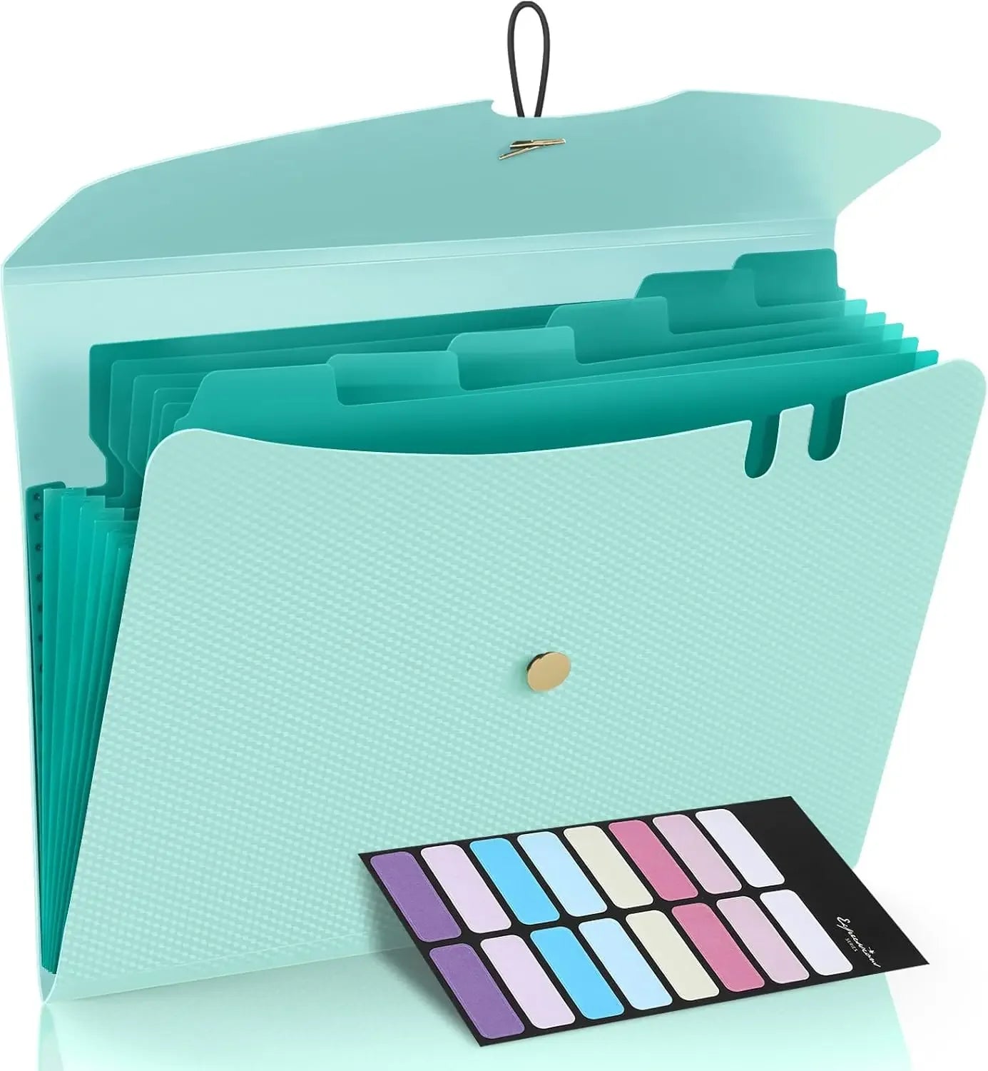 Letter Size Organ Organizer