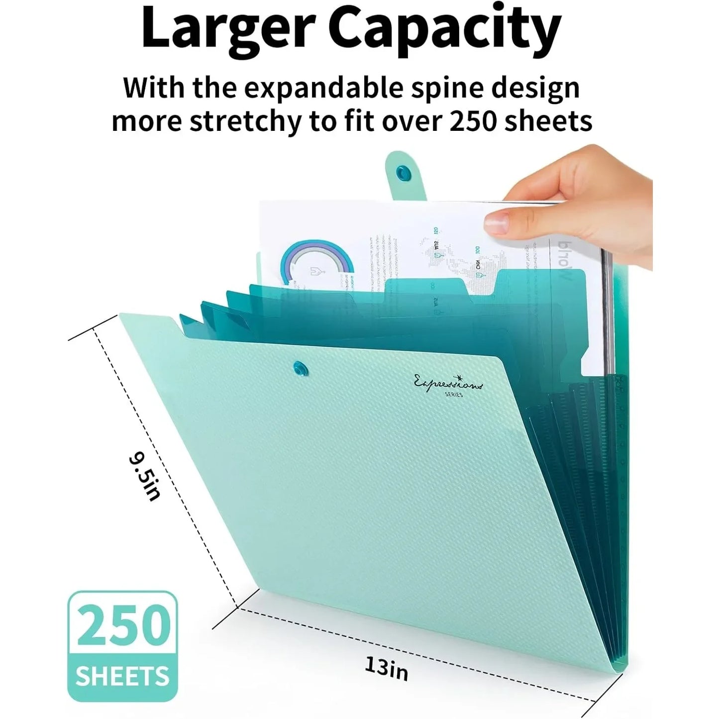 Letter Size Organ Organizer
