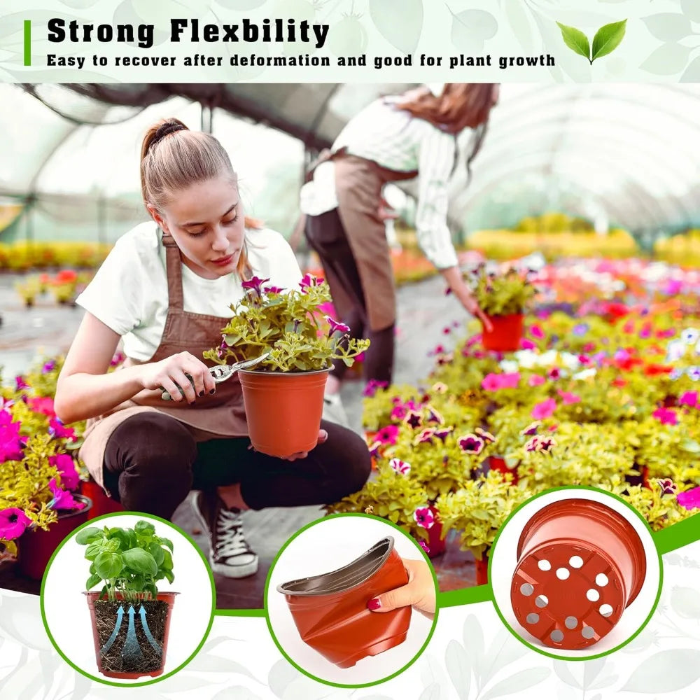 Nursery Pots Seedling Plant Container