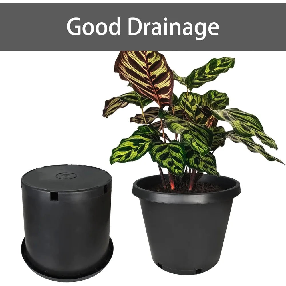 Molded Container Seed Starting Plant Nursery Pot