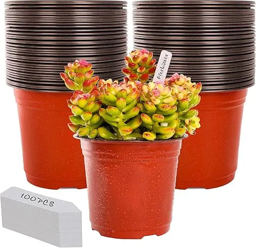 Nursery Pots Seedling Plant Container