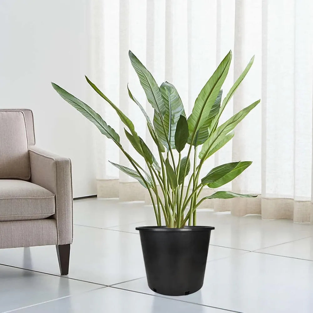 Plant Flower Seedling Container