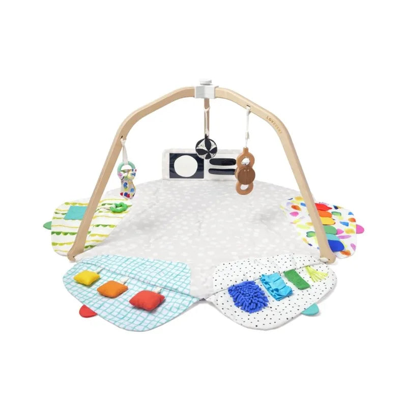 Baby Stage-Based Developmental Activity Gym & Play Mat