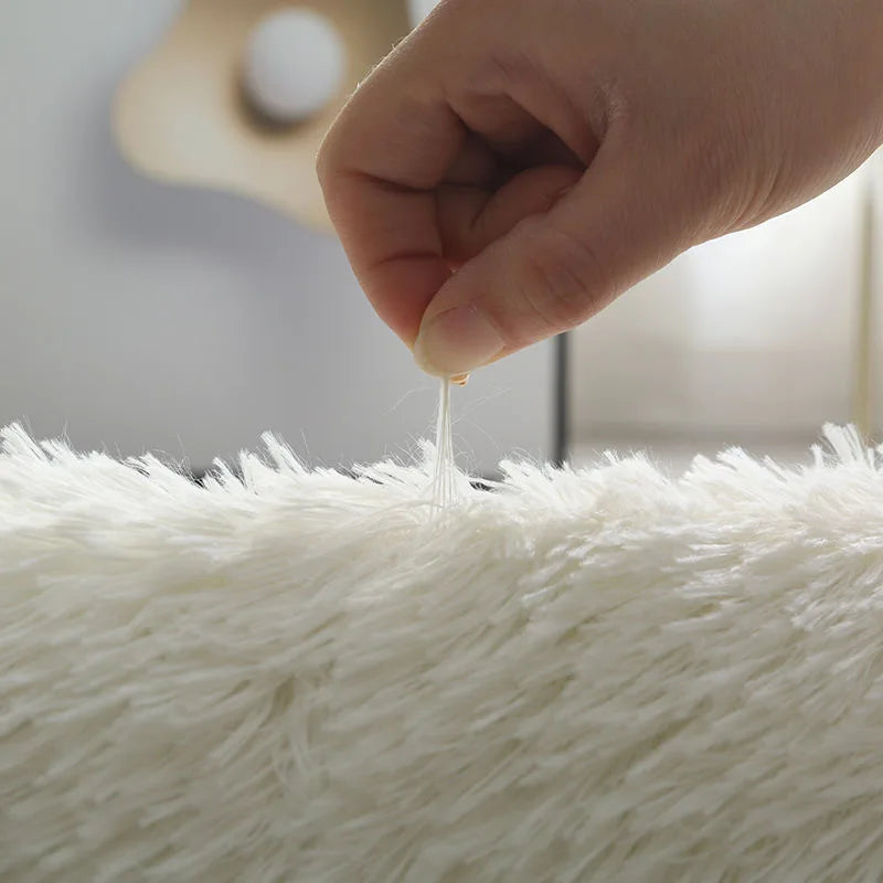 Fluffy Carpet Modern Home Decor Mats Thickened Non-Slip