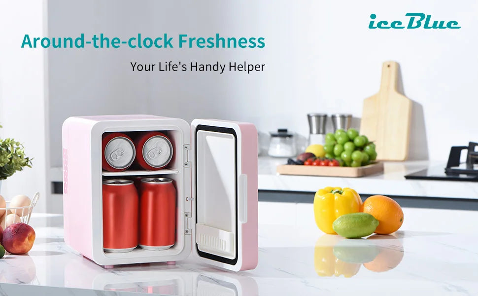 Mini Fridge Dual-Use AC/DC Cooler Warmer for Home Car