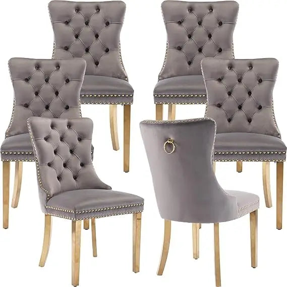 Velvet Dining Chairs Set