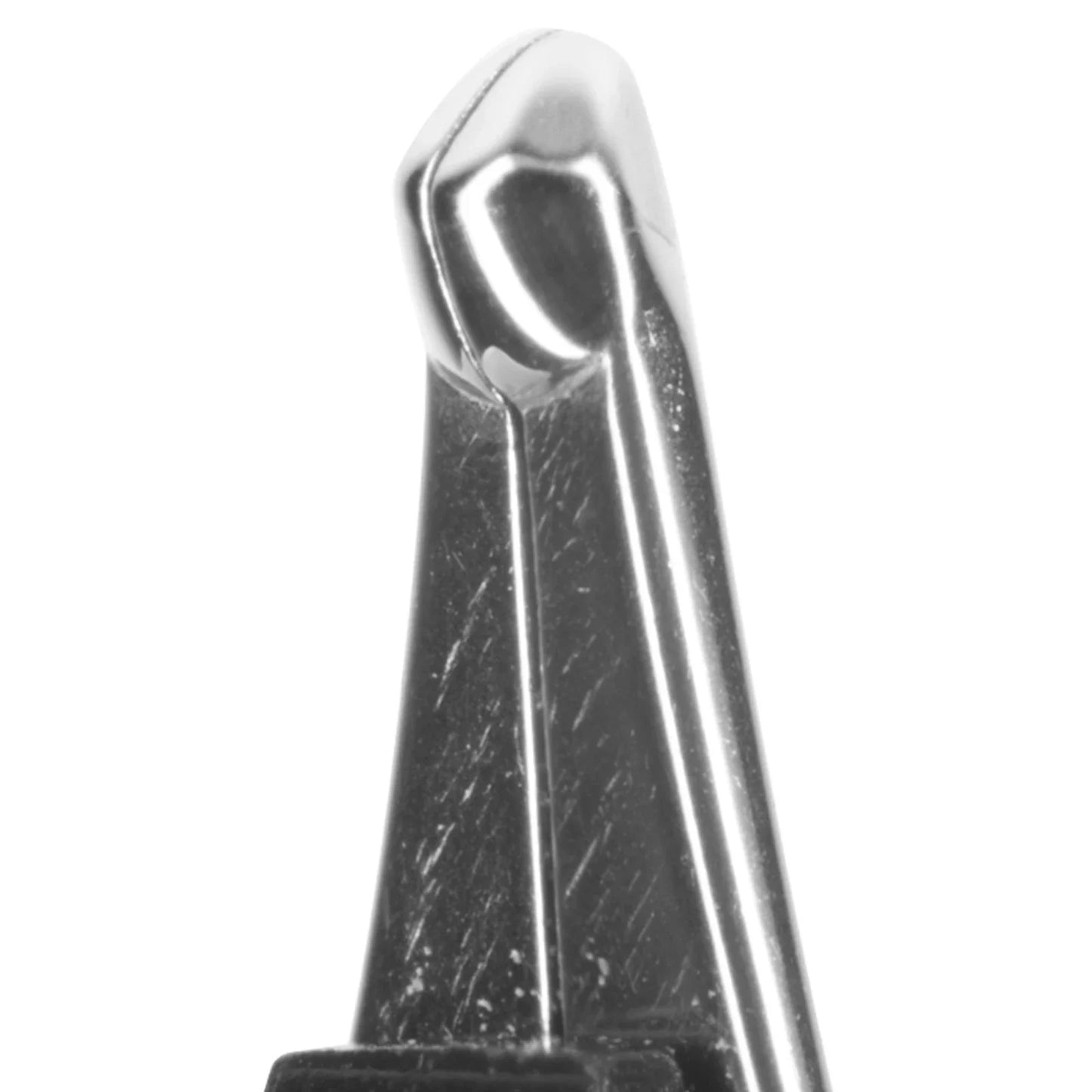 Fountain Pen with Clip