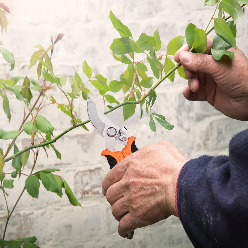Professional Sharp Pruner Garden Scissors