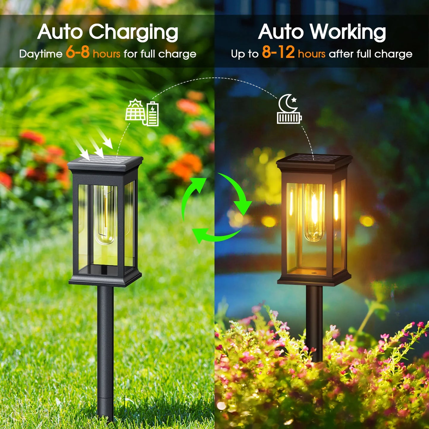 Garden Solar Lights