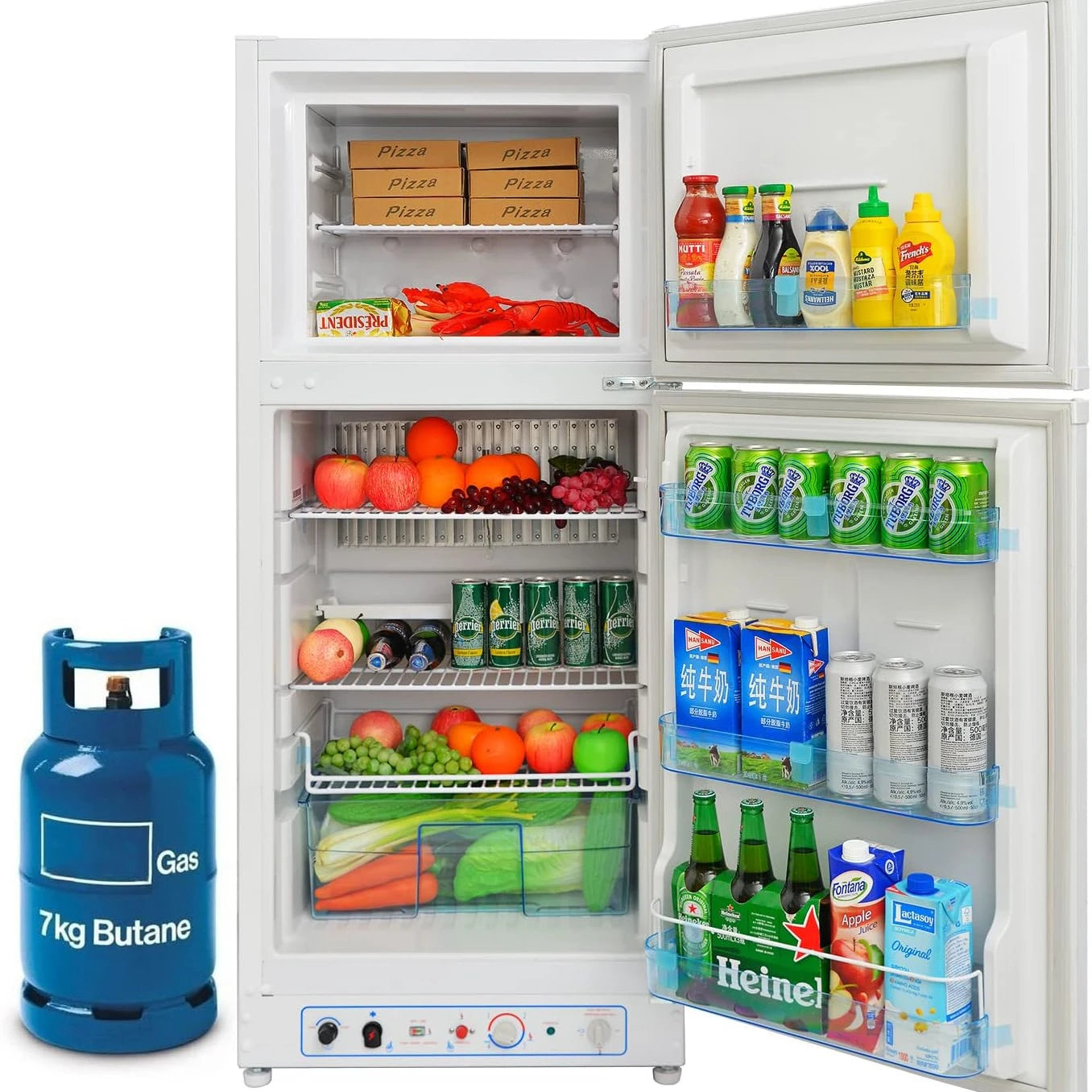 Propane Fridge with Freezer with Reversible Door