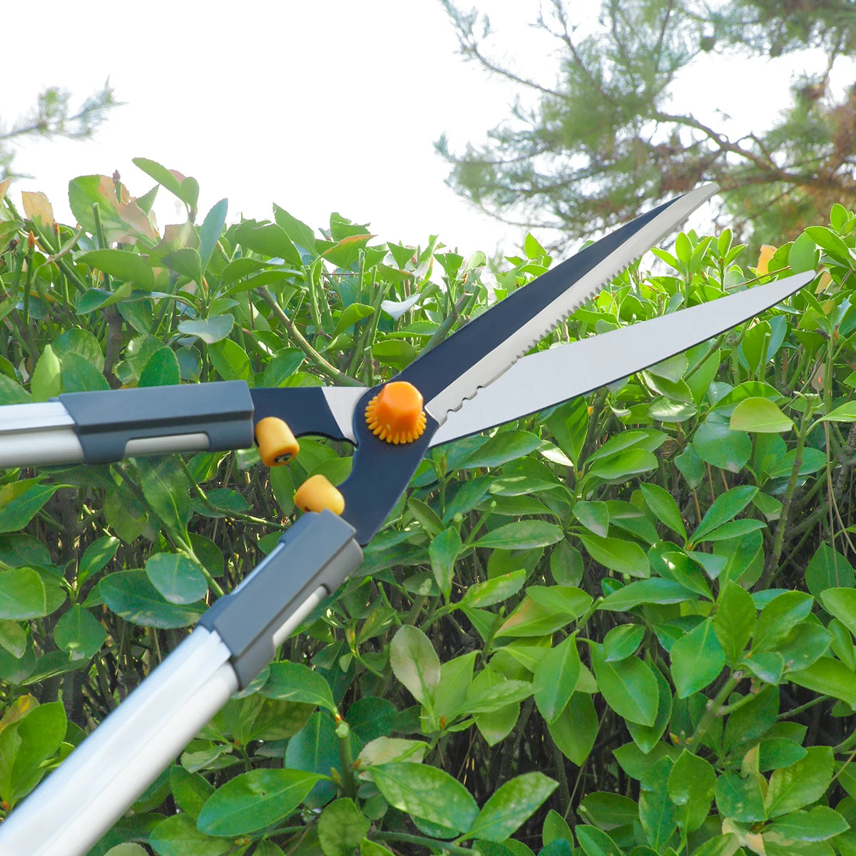 Multi-Category Hedge Shear Durable Hand Tool