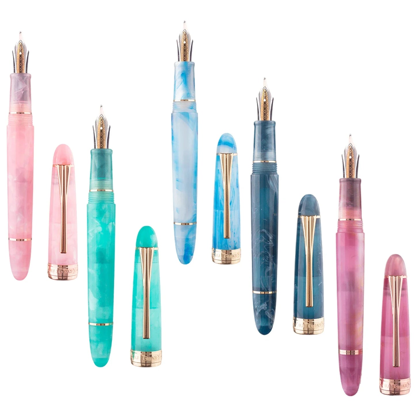 Fountain Pen with Clip