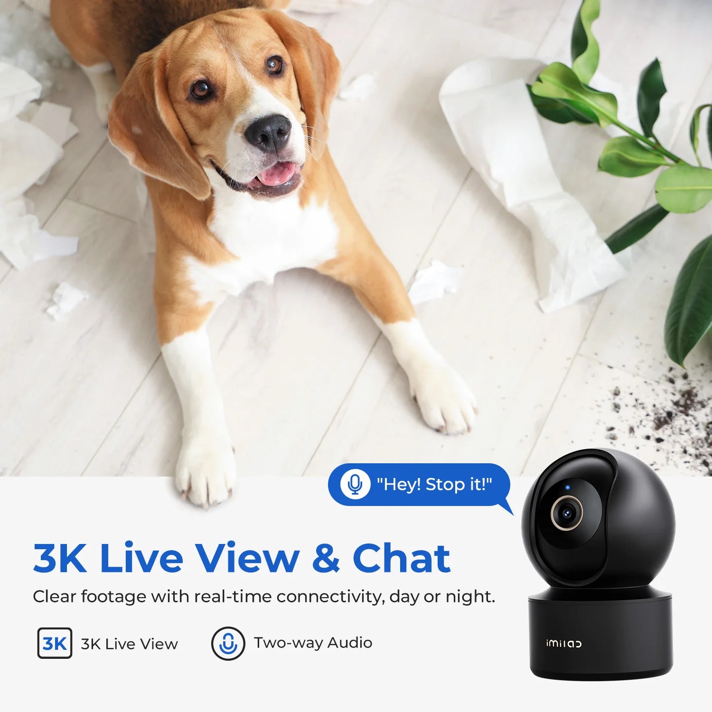 Indoor Camera with AI Detection Night Vision