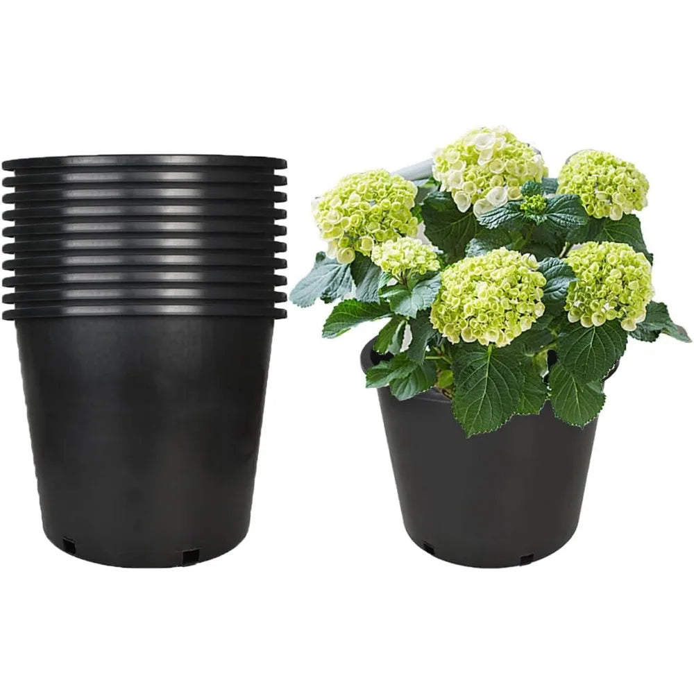 Plant Flower Seedling Container
