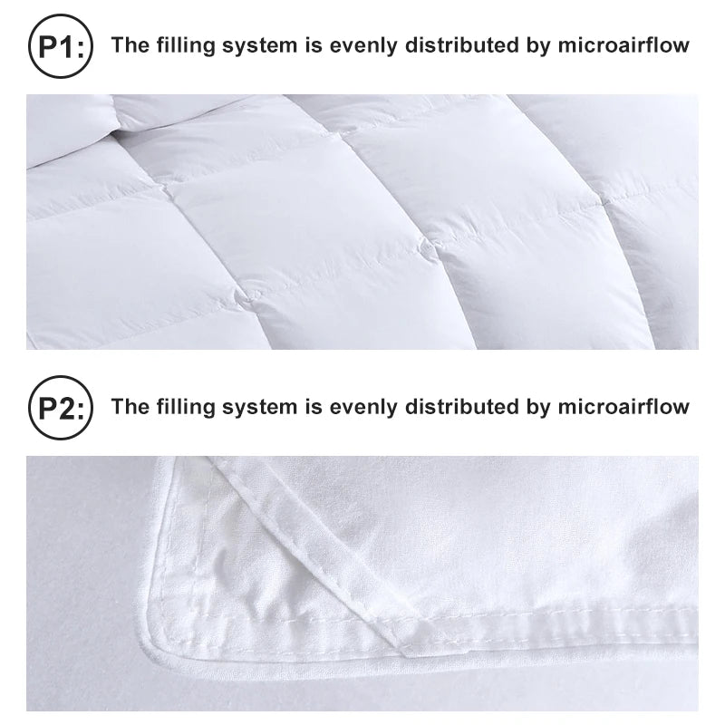 All Season Feather and Down Comforter