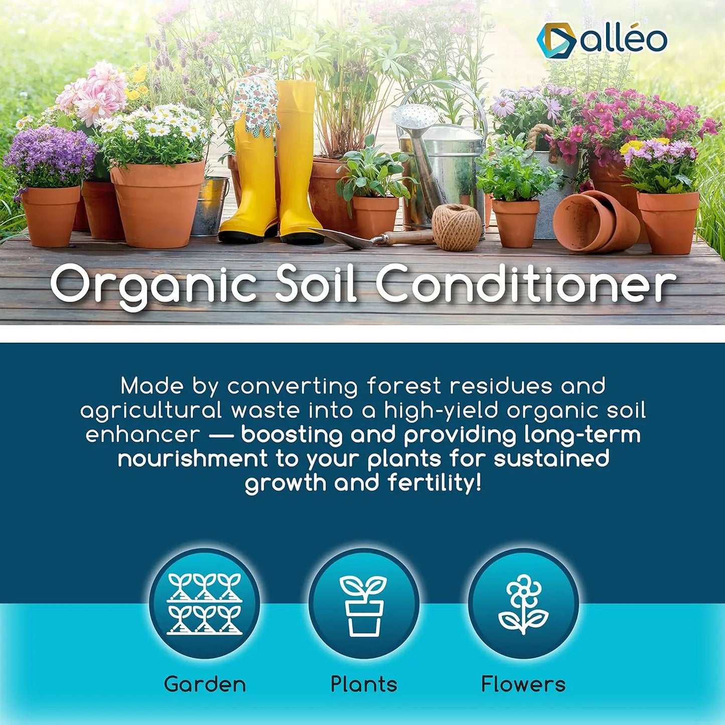 Charcoal Soil - All Natural Enhancer for Garden and Potting Soil