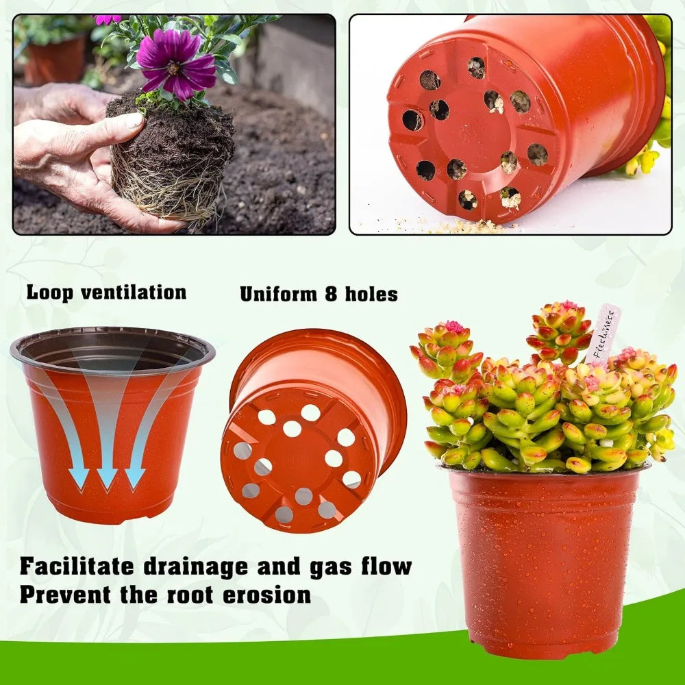 Nursery Pots Seedling Plant Container