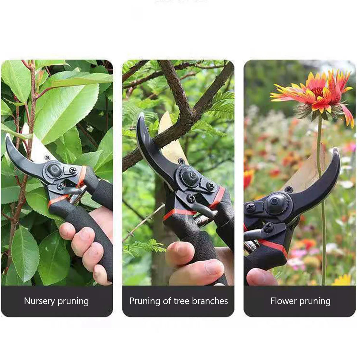 Professional Garden Pruner Shears