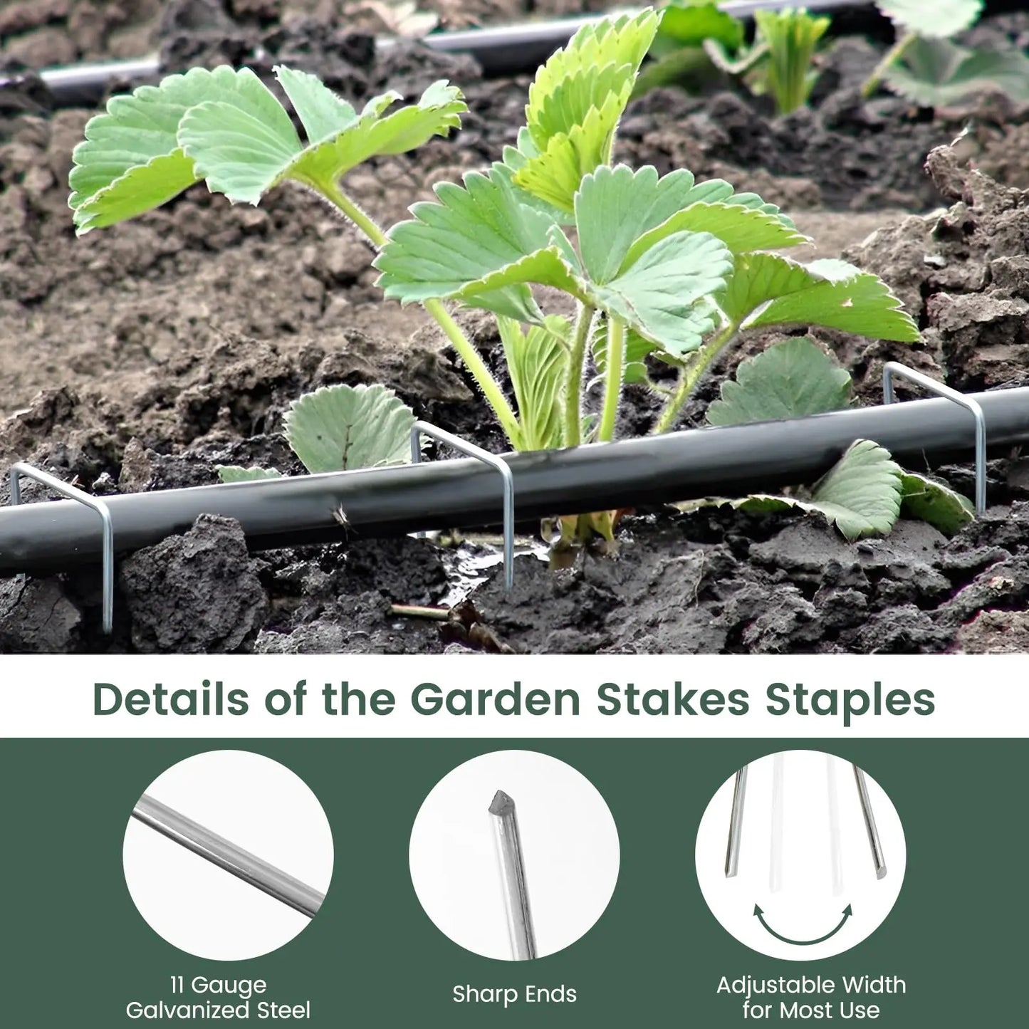 Garden Weed Barrier Landscape Fabric