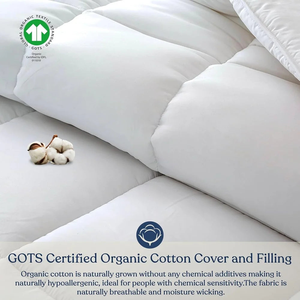 Organic Cotton Hypoallergenic Comforter
