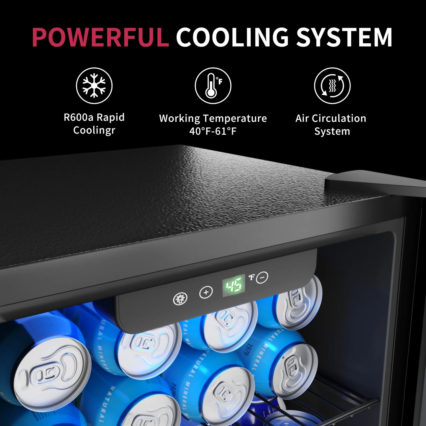 Mini Fridge with Adjustable Shelves