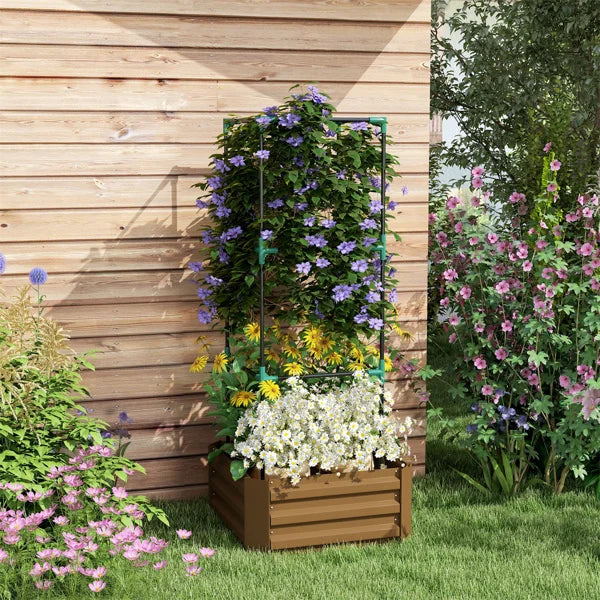 Garden Bed & Wood Planter Box