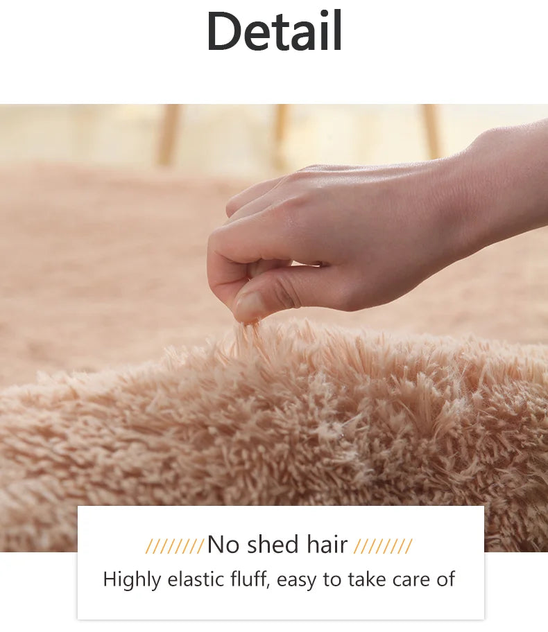 Bedroom Carpet Soft Mat Fluffy Rugs