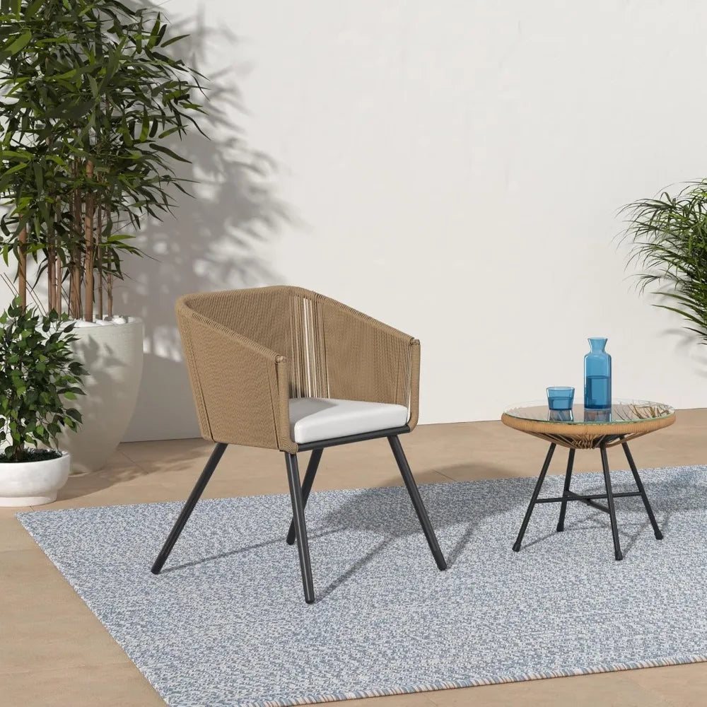 Set of 2 Patio Dining Chairs
