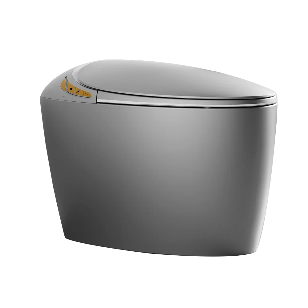 Unique Smart Toilet with Bidet Built In