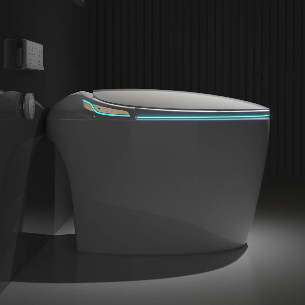 Unique Smart Toilet with Bidet Built In
