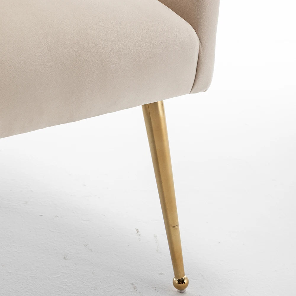Modern Upholstered Accent Velvet Dining Chairs (Chairs Only)