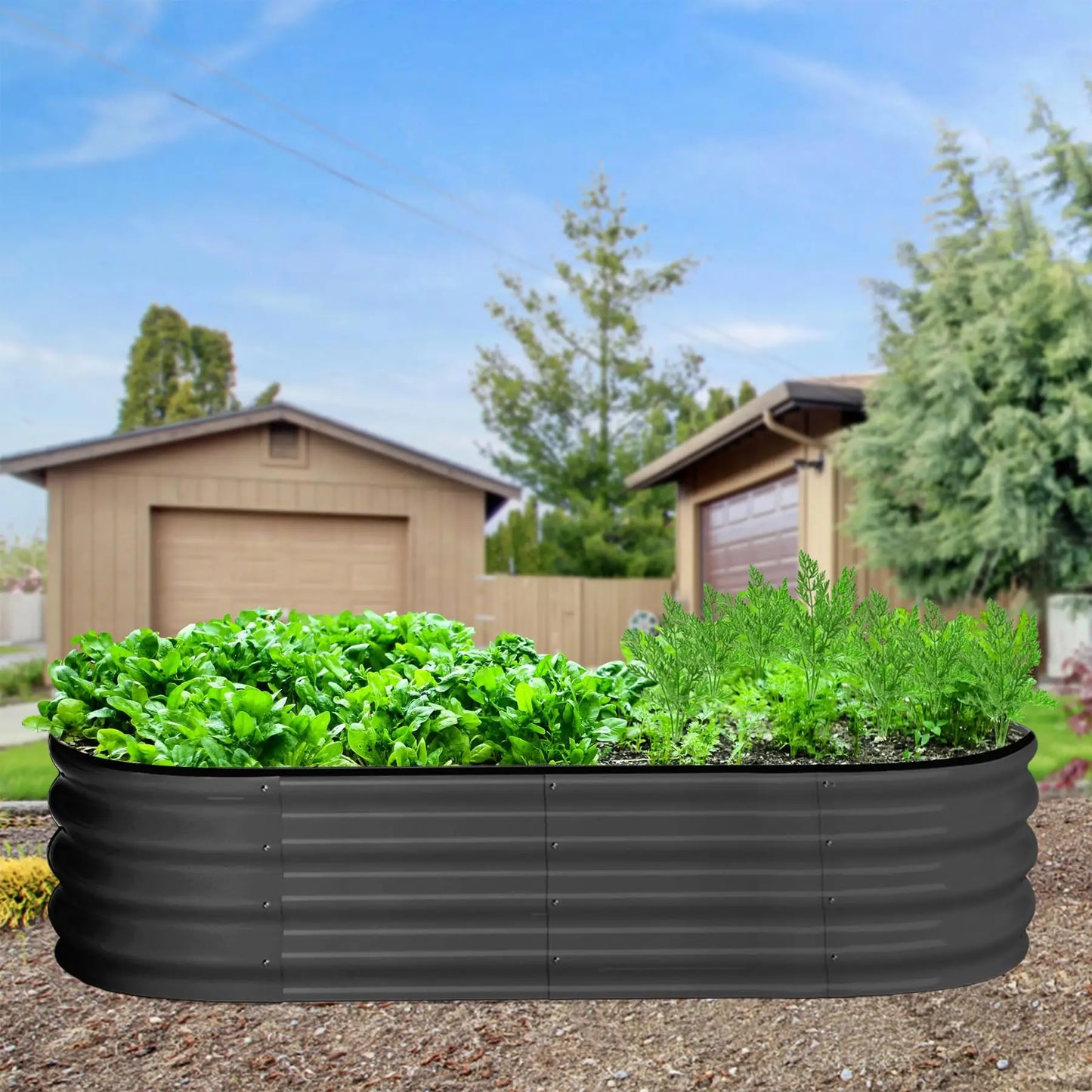 Oval Galvanized Steel Raised Garden Bed