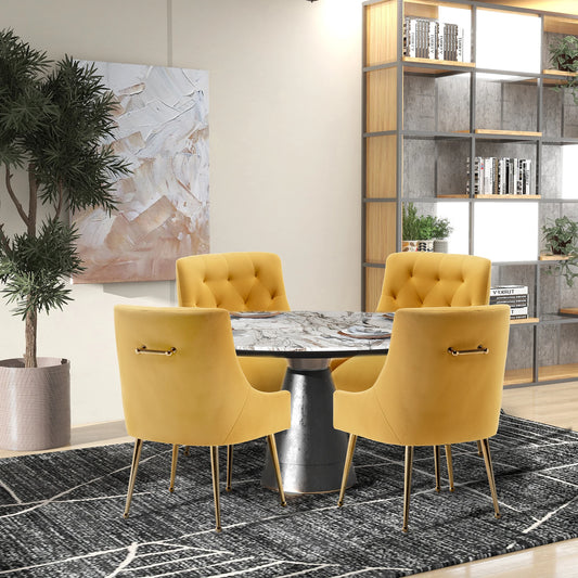 Modern Upholstered Accent Velvet Dining Chairs (Chairs Only)