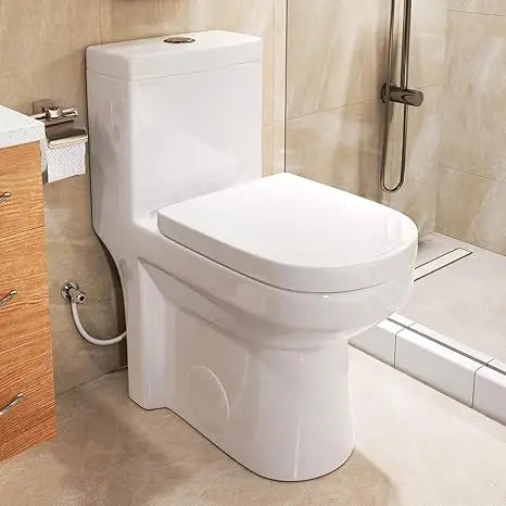 Compact One-Piece Toilet with Dual Flush System