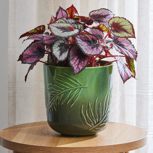 Ceramic Planter with Drainage Hole