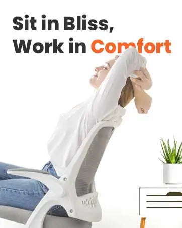 Ergonomic Adjustable Chair with a High Back Computer Comfy Task Office Chair