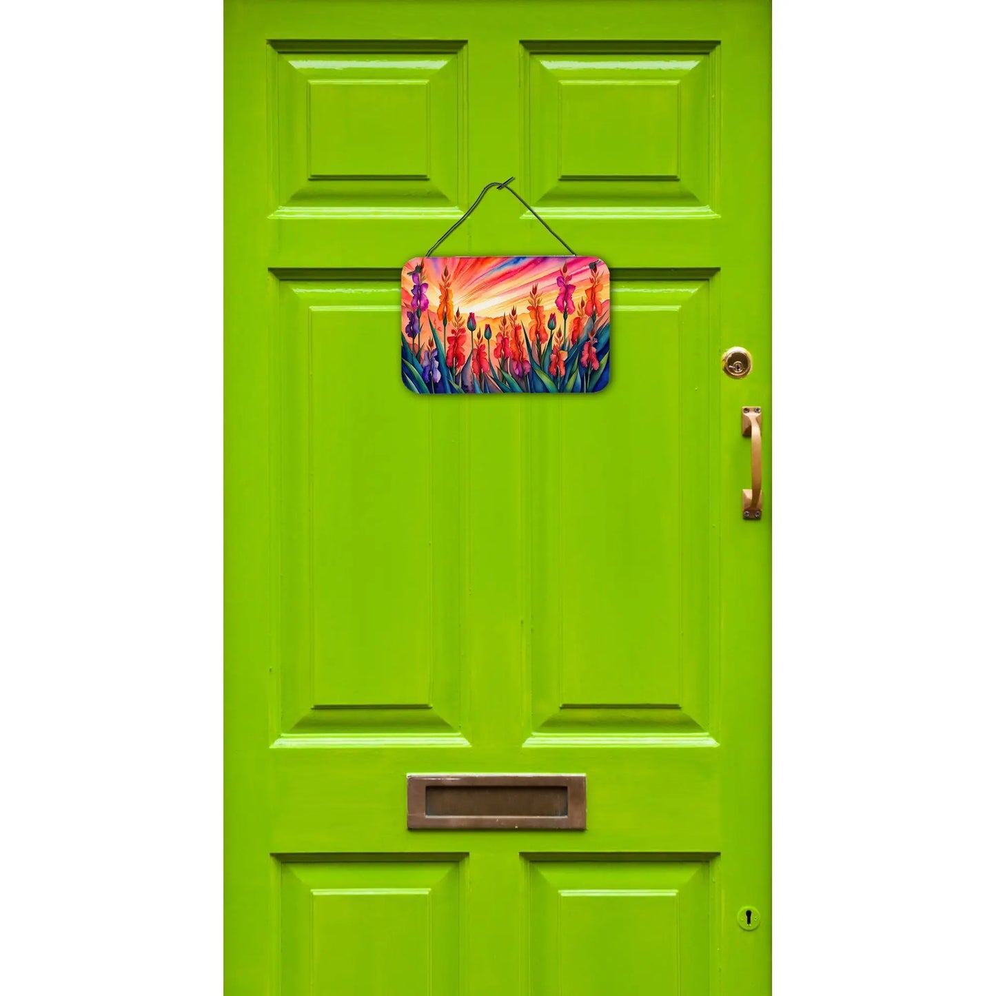 Multicolor NEW Gladiolus Wall Decor